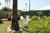 Albaricoques Vivac Bungalow