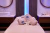 Tasia Maris Beach Hotel - Adults Only