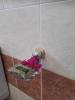 Bouganville Bed & Breakfast Stegna