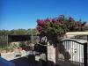 Bouganville Bed & Breakfast Stegna