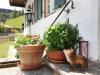 Pension Karner