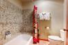 1123 Indian Paintbrush