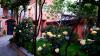 GREEN GARDEN