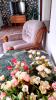 GREEN GARDEN