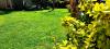GREEN GARDEN