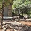 Luvivane Luxury Villa & Cottage