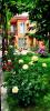 GREEN GARDEN