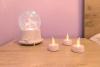 Lovely City Center 1BD, 1BT Apartment