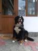 Relax88