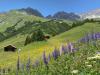 Ibex Lodge