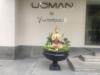 Udman South Delhi by Ferns N Petals