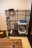 Dogs & Cats Friendly House Kyoto