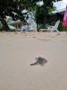 La Digue Luxury Beach Bungalow