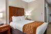 Comfort Inn Syosset-Long Island