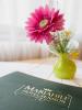 Pension Hotel Mariahilf