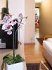 Pension Hotel Mariahilf
