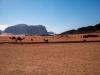 Wadi Rum Nights