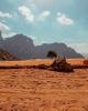 Wadi Rum Nights