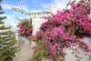 Unique Galini Oia - Adults Only
