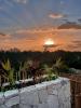Vida Jungle Boho Apart 13 with special fee to access Hotel Bardo