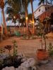 Casa Cacahuate Holbox-Casa entera con jardin-Whole house with garden