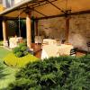 Hostal Villa Toscana
