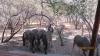 Gemsbok Place