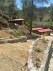 Bosco Paradiso
