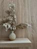 Vlora Relaxing Studio