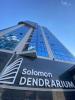 Business Lux Apartment Solomon City Chisinau