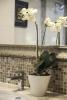 SN Plus Hotel - SHA Plus