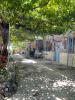 Holiday House Prodromos