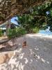 La Digue Luxury Beach Bungalow