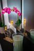 FREE PARKING! Soho Budapest 101, 4 ppl, AC, Superfast WIFI, TV