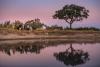 Umkumbe Bush Lodge - Luxury Tented Camp