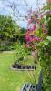 Sean Sabai Home e Ristobar