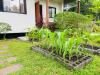 Sean Sabai Home e Ristobar