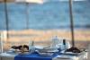 Dome Beach Marina Hotel & Resort
