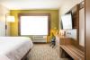 Holiday Inn Express & Suites - San Jose Silicon Valley, an IHG Hotel