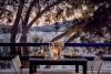 Mykonos Theoxenia Boutique Hotel