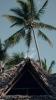 Sahari Zanzibar