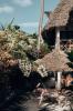 Sahari Zanzibar