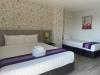 Embryo Hotel 