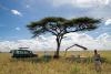 Serengeti Sametu Camp