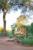 Wildheart Safari - MAIN