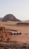 Joy to Wadi Rum