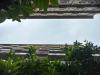 The Mangrove Hotel
