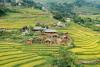 SaPa Farmer House