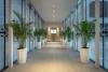 Hilton Batumi