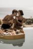 Enigma Mykonos Hideaway Suites